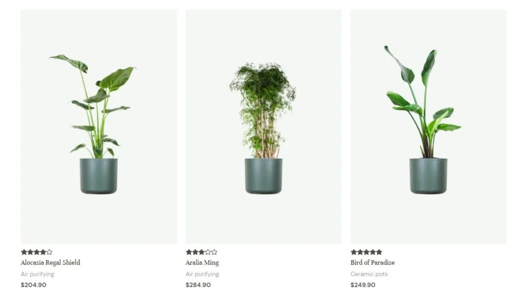 How to build an online store in less than 1 hour 4 Astra eCommerce Store Starter Template Example